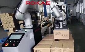 im电竞协作码垛典型应用：清洁用品纸箱码垛